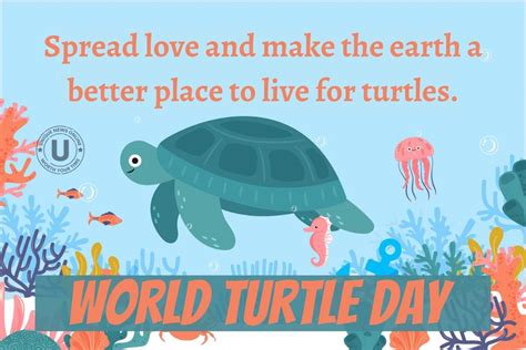 World Turtle Day 2022 Best Quotes Posters Images And Messages To