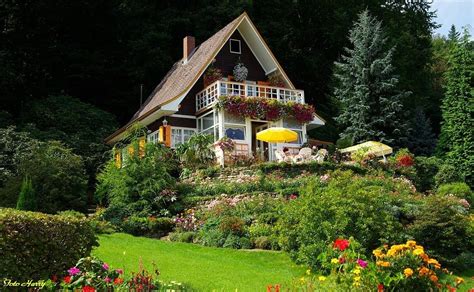 Tarafsız yorumları okuyun, gerçek gezgin fotoğraflarına bakın. Kleines Haus am Wald.(frei nach Herbert Roth) gesehen ...