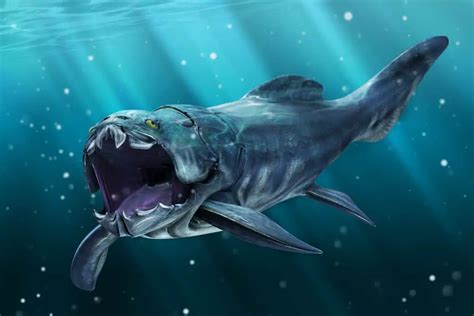 Dunkleosteus Dinosaurs Pictures And Facts