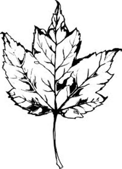 High Resolution Red Maple Leaf Clip Art Library
