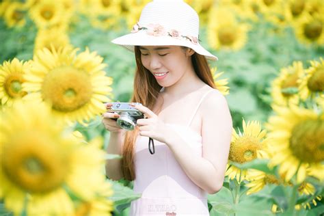 Chụp ảnh Với Hoa Hướng Dương Tuyệt đẹp Giữa Lòng Sài Gòn Vuidulichvn