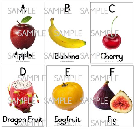 fruit starting with each letter of the alphabet