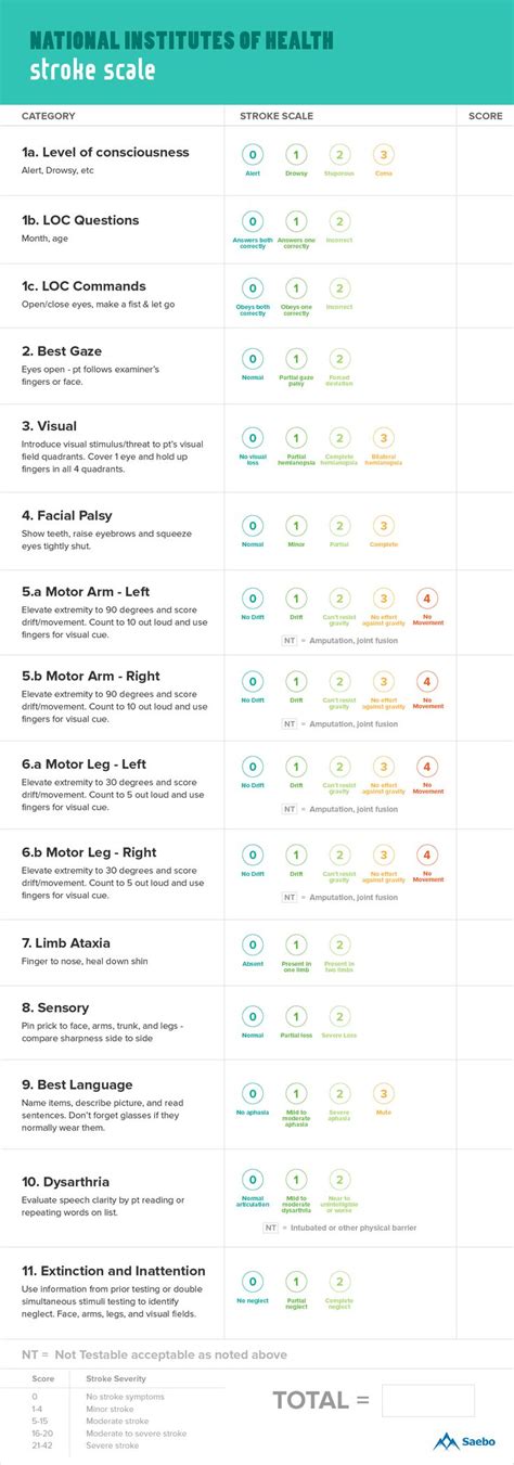 What Is The Nih Stroke Scale Nihss Score Saebo Nih