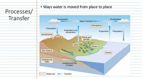 Water Cycle Notes