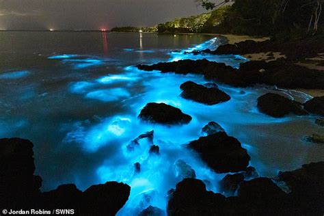 Mesmerising Algae Glows Blue As Photographer Runs His Hands Through