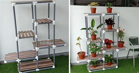 Tanam ubi kayu dalam pasu untuk tuaian pucuk selain daripada ubi, daun ubi kayu enak dibuat ulam. Ruang kecil Tapi Nak Tanam Pokok? Ikut Cara Lelaki Ni DIY ...