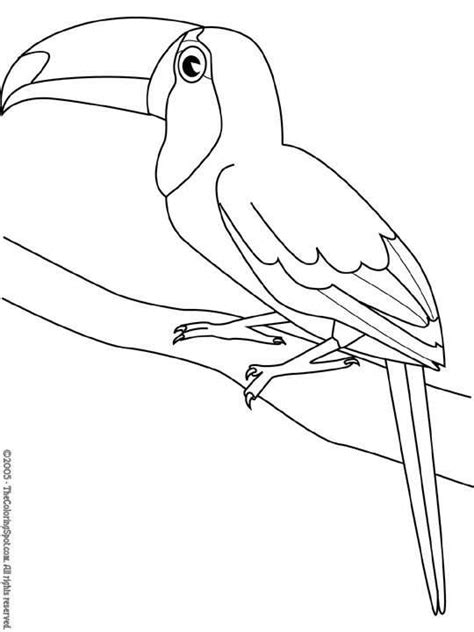 Kleurplaat Vogel