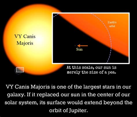 Vy Canis Majoris Compared To The Solar System