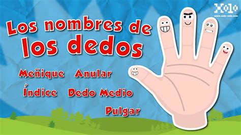 Nombre De Los Dedos De La Mano Español Para Niños Videos Aprende