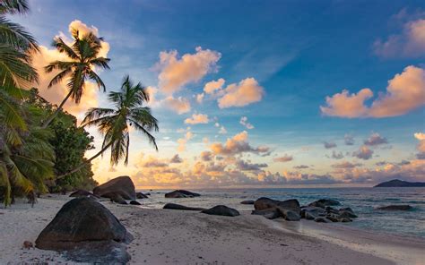 Download Wallpaper 3840x2400 Beach Palm Trees Sea Nature Landscape