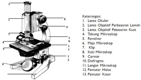 Gambar Bagian Bagian Mikroskop Beserta Fungsinya Atap Ilmu