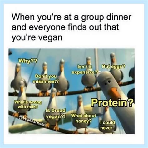 16 Relatable Funny Vegan Memes To Share