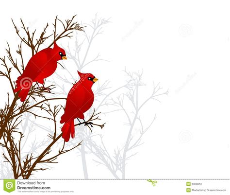 Cardinal On Branch Clipart 20 Free Cliparts Download Images On