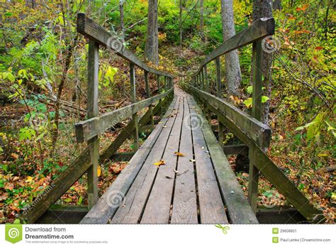 Rickety Wooden Foot Bridge Stock Image Image Of Autumn 29608851
