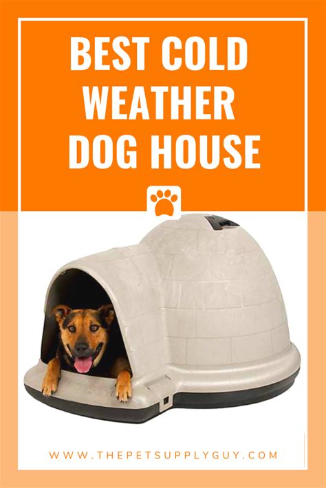 Best Dog House for Winter | Cold weather dogs, Cool dog ...