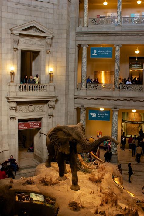 Smithsonian National Museum Of Natural History Artofit