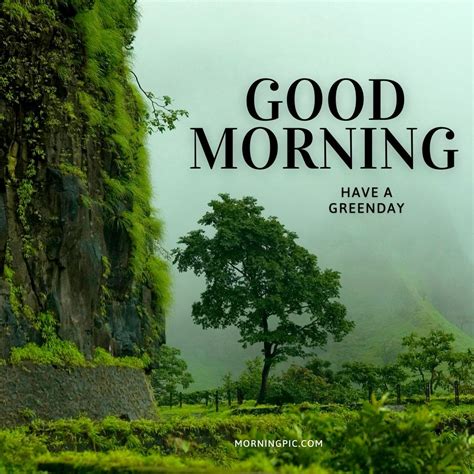 Beautiful Good Morning Nature Images Morning With Nature Morning Pic
