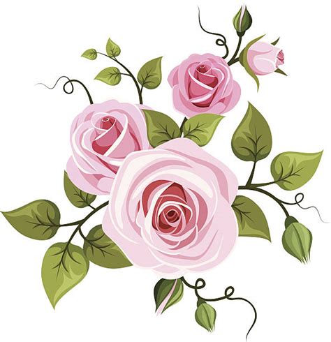 Top Rose Vines Clip Art Vector Graphics And Illustrations
