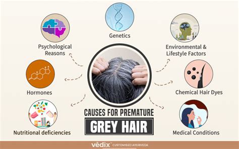 5 Quick Solutions To Reverse Your Premature Grey Hair Vedix