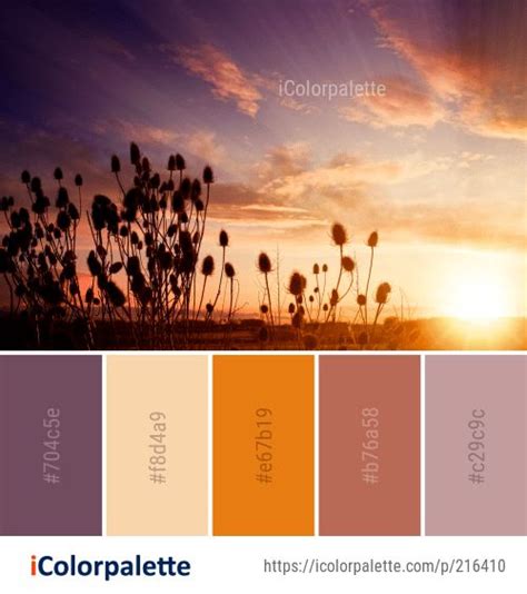 Color Palette Ideas From Sky Sunrise Sunset Image Sunrise Colors