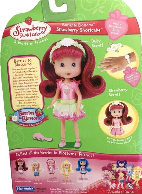 Strawberry Shortcake Playmates Berries To Blossoms Strawberry 1 Toy