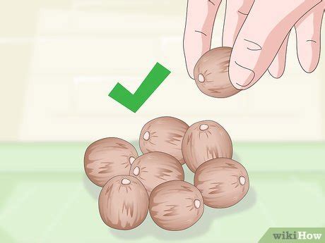 How to Grow a Tea Plant (with Pictures) - wikiHow