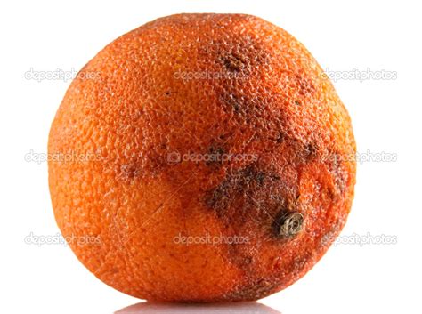 Rotten Orange Isolated On White ⬇ Stock Photo Image By © Belchonock