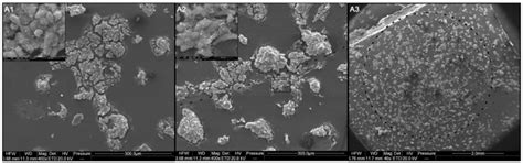 Here comes the presentation of nanofilms. Visualization of the interaction of HepG2 cells with ...