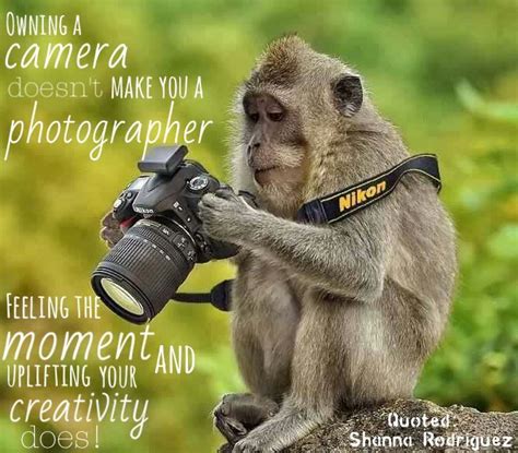 Because, animals are such cute, funny, and fantastic. monkey quotes - Google Search | Comedy wildlife ...