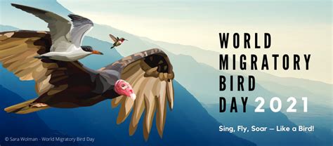 World Migratory Bird Day 2021 09 October