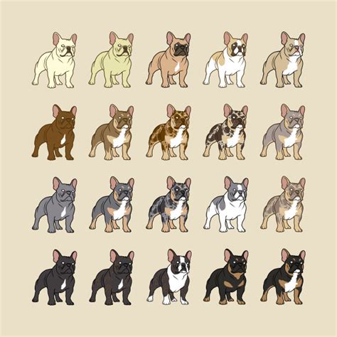 Unlike other types of bulldogs, the french bulldog has a comical mindset that can endear it to people. French Bulldog Colors Chart | Colorpaints.co