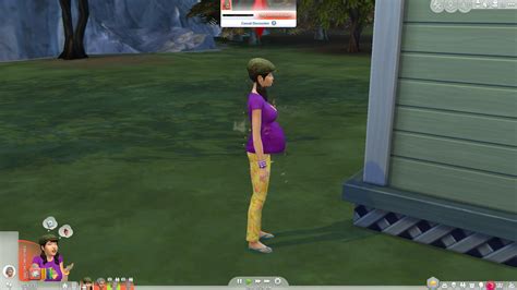 The Sims 4 Realistic Life And Pregnancy Mod Northlio
