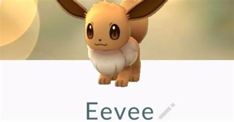 Pokémon Go Eevee Evolution How To Evolve Eevee Into Vaporeon Jolteon