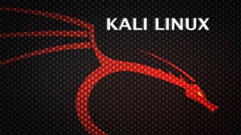 Kali Linux Wallpaper By Difortis On Deviantart Be7