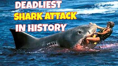 Deadliest Shark Attack In History A Chilling Tale Of Uss Indianapolis
