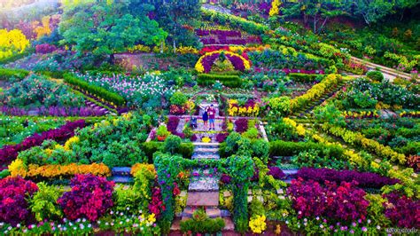 Beautiful flowers at the gartenschau in kaiserslautern. Buwakan ni Alejandra, Balamban's gorgeous flower garden ...