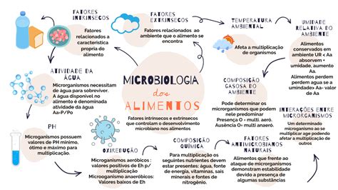 Top Imagen Microbiologia Mapa Mental Viaterra Mx Vrogue Co