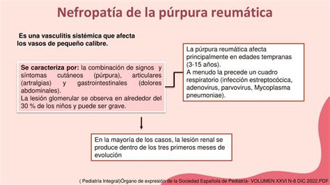 Nefropatía de la púrpura reumática Medicina Óptima uDocz