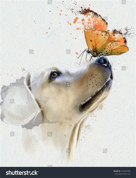 Golden Retriever Dog With Butterfly Stock Photo 184593788 Shutterstock