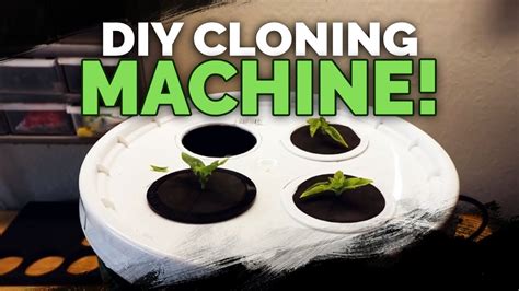 Best of all, no spray heads to clog! DIY Cloning Machine: Two EASY Ways to Build a Propagation ...