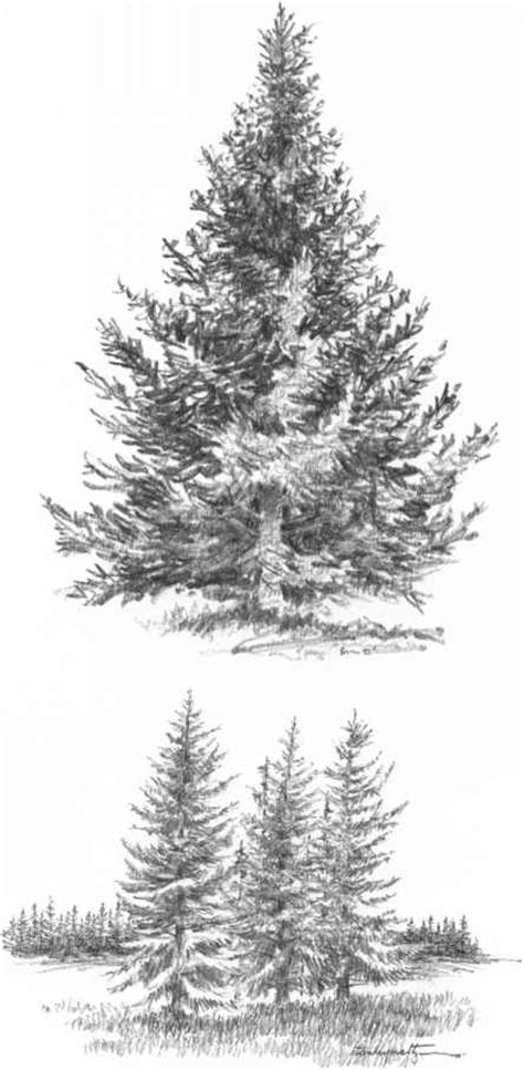Pencil drawing is an ability which comes naturally to a person and it takes a lot of time and talent to complete a pencil drawing. Capture The Character Of A Tree - Drawing Nature - Joshua ...