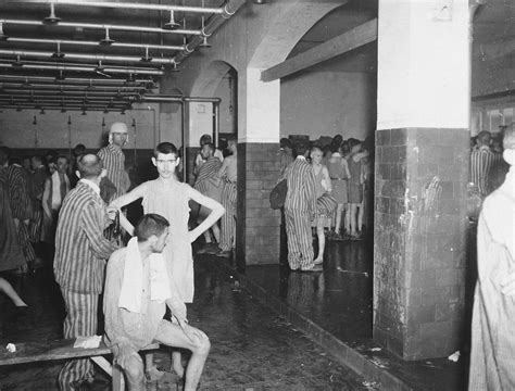 Survivors In The Shower Barracks After Liberation Collections Search