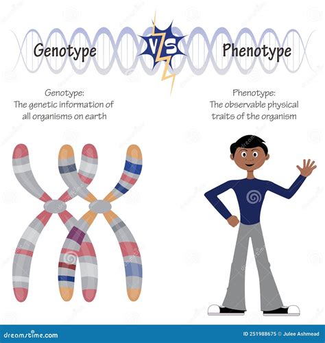 Genotypes Cartoons, Illustrations & Vector Stock Images - 22 Pictures