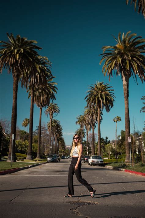 How To Find The Iconic Palm Tree Lined Street In Los Angeles With View