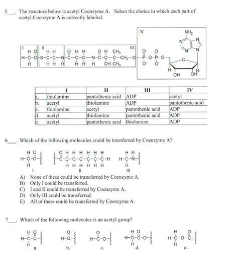 Solved 5 The Structure Below Is Acetyl Coenzyme A Select Chegg Com