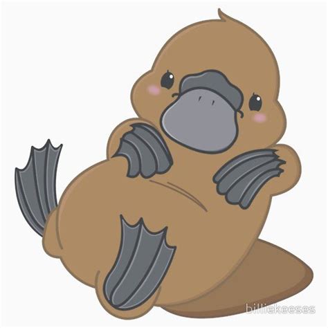 So we decided to make a printable version of these drawings for kids to put it online on the website of light of hope for children all around the world. Cute Kawaii Platypus Sticker by billiekeeses | Cute australian animals, Cute animal drawings ...
