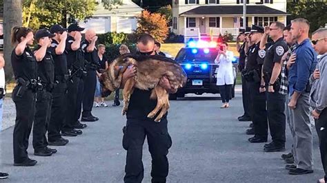 Emotional Photo Shows Police Department Saying Goodbye To K9 Officer