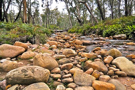 Rocky River Bed Stock Photo Download Image Now Australia Boulder