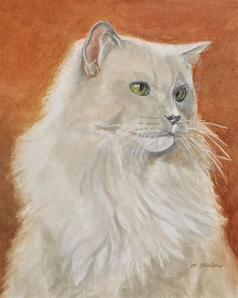 Ragdoll Cat Art Ragdoll Cat Watercolor Print Cat Portrait Etsy