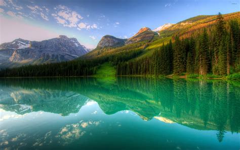 Forest Reflecting In The Lake Mountain Wallpaper Nature Wallpapers